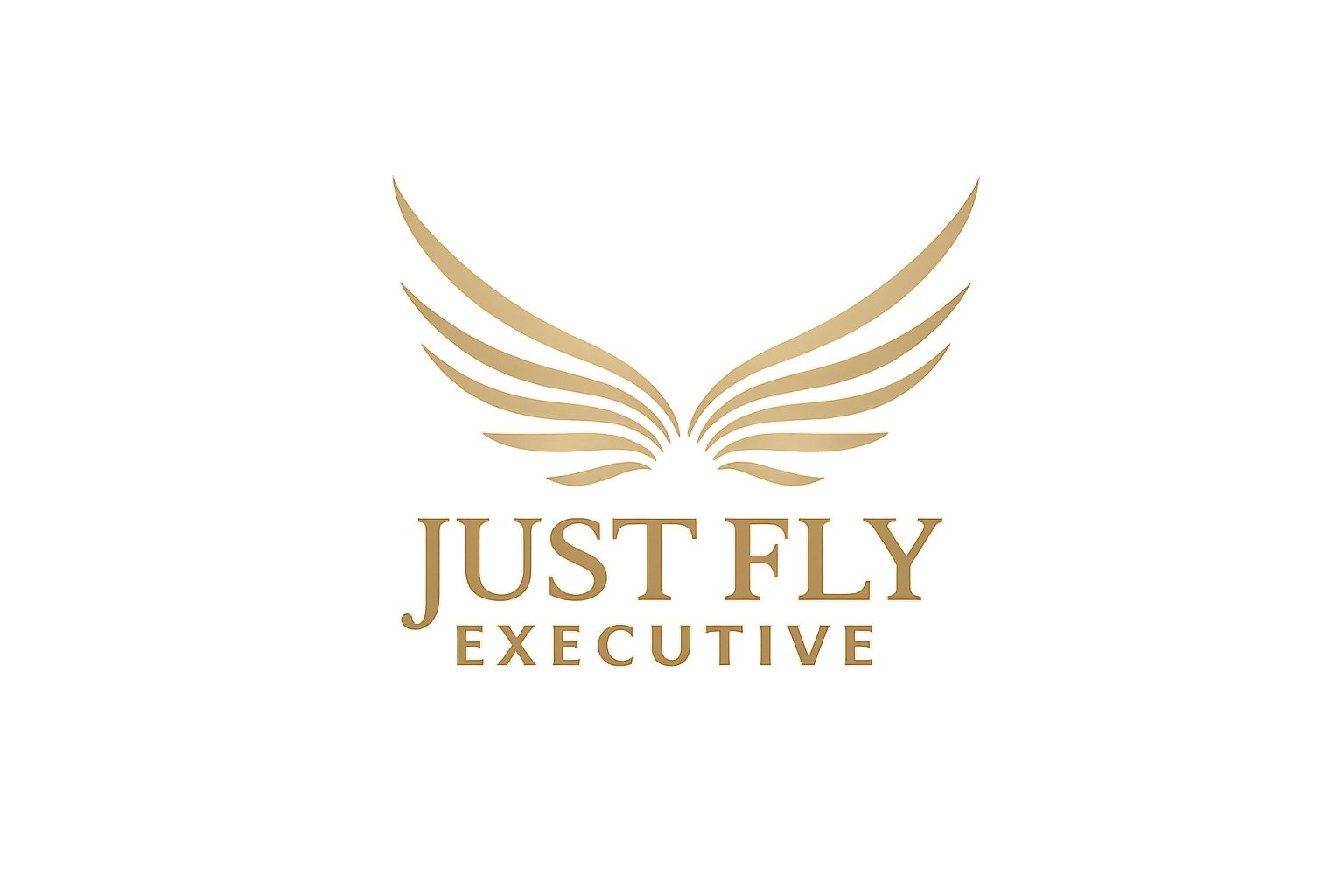 Logo JustFly Executive — rediseño web desarrollado por WebCraftEstudio Girona