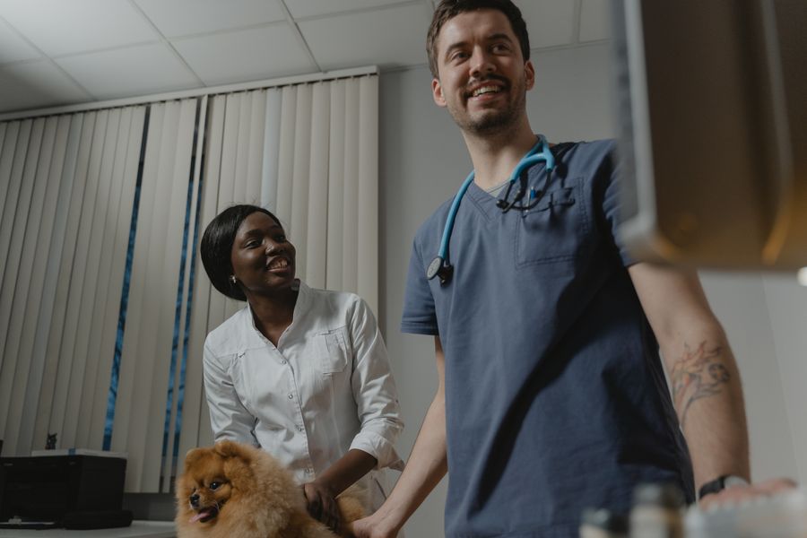 Veterinario del equipo