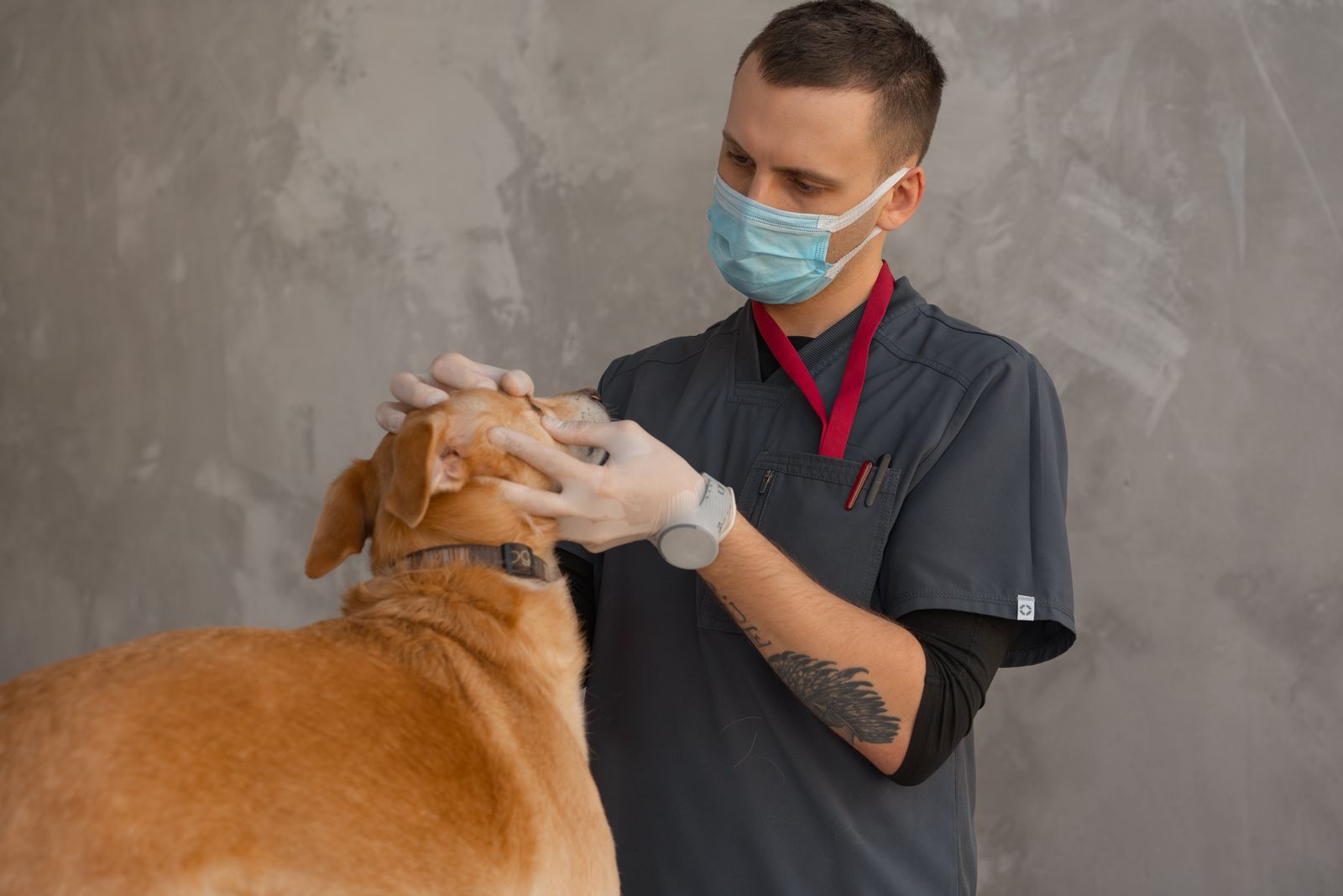 Veterinaria atendiendo a un perro en consulta